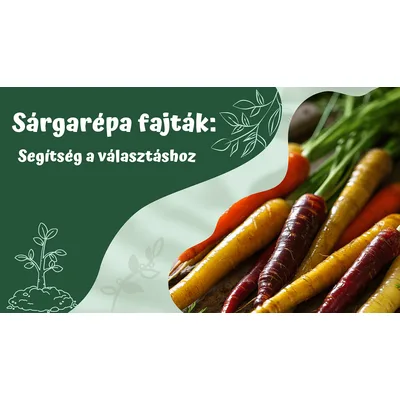 Zelen,sargarepa Veze 4856 Vlasic Komerc