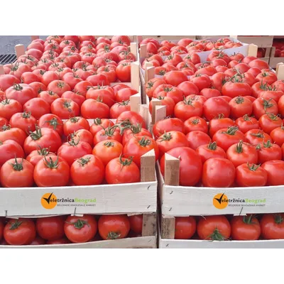Povr.Paprika Paradajz