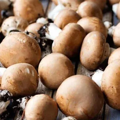 Domaći Šampinjoni Braon 200 g