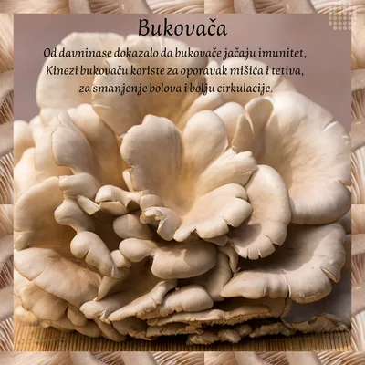 Bukovače 350 g