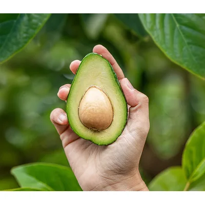 Avokado, -Pk 3 kom