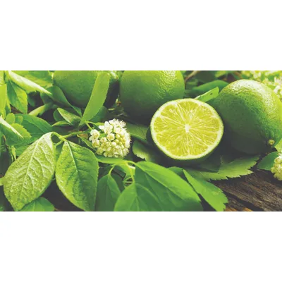 Limeta