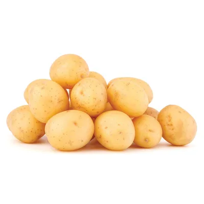 Mladi Beli Krompir