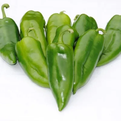 Paprika Zelena Pureberry 500 g