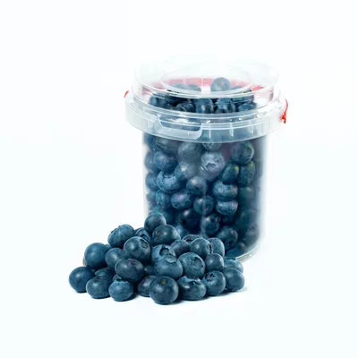Borovnica Domaca 500 g