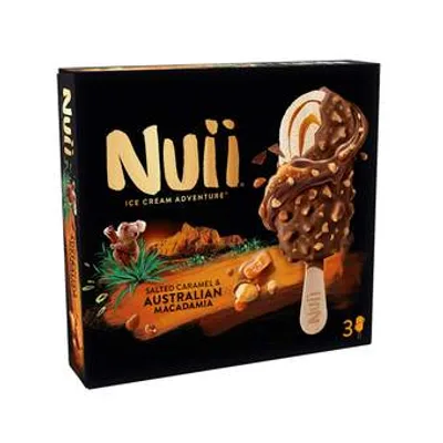 Froneri Sladoled Nuii Salted Caramel 270 ml