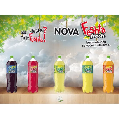 Feshta Fresh Borovnica Pet Elixir Nat 2 L