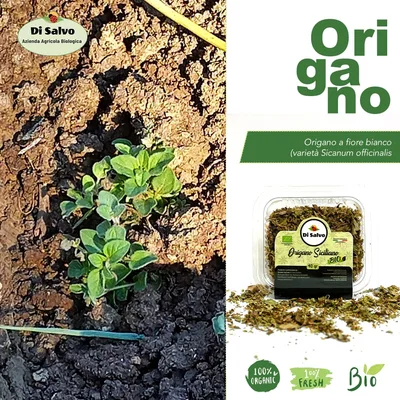 Origano Agroprodukt 3 g