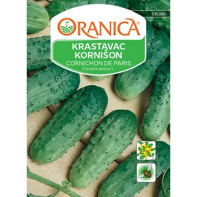 Dobro Krastavci Kornišoni 2300 kg