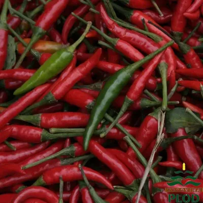 Feferoni Ljuti Sm 15 kg