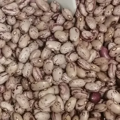Pasulj Sareni Rinfuz Kozmetik Plus