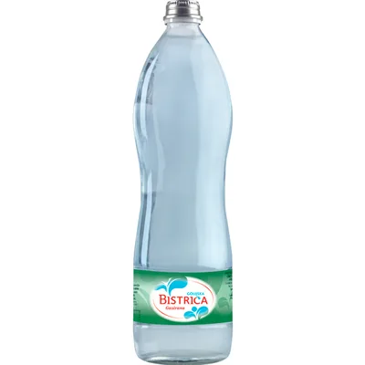 Voda Bistrica Gazirana Staklo 1 L