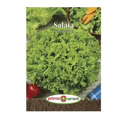 Salata Lollo Bionda Grow Rasad
