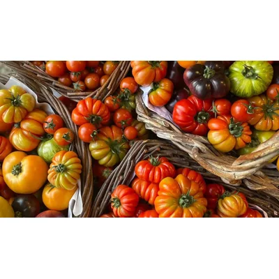 Paradajz Sušeni Rnf 1 kg