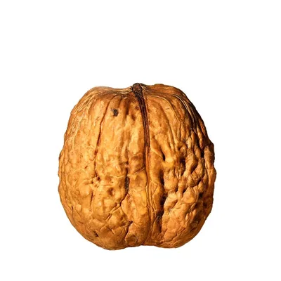 Orah U Ljusci 500 g