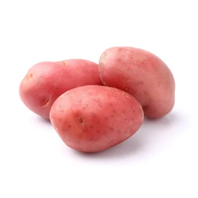 Krompir Crveni
