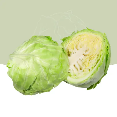 Kupus Mladi