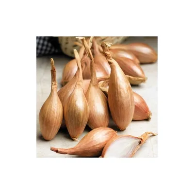 Crni Luk 500 g