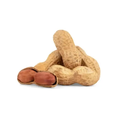 Kikiriki U Ljusci Spajz Rfs (slon) 4 kg