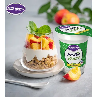 Jogurt Probio 0.5%mm Casa Milk House 180 g