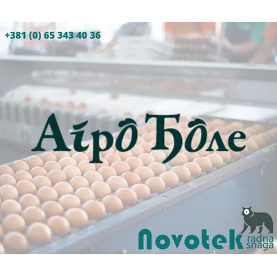 Jaja L Grupa 63- Klasa A 73 g