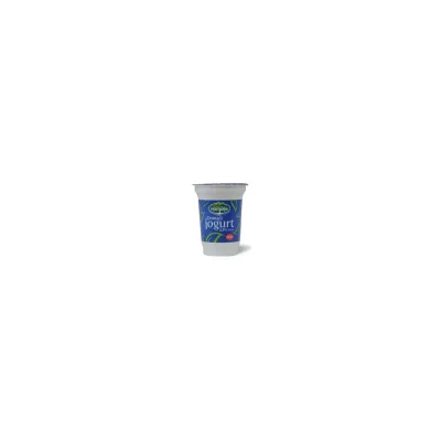 Jogurt Homolje 2.8% Casa 180 g
