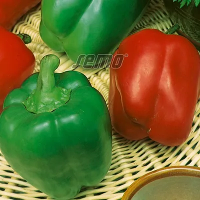 Paprika Silja Kom 500 g