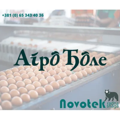 Konzumna Jaja L-Velika