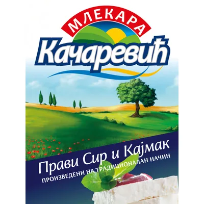 Surutka Kacarevic
