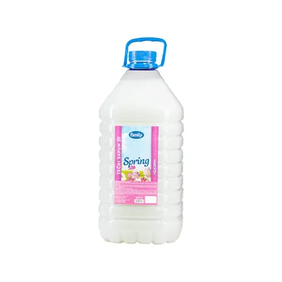 Tecni Sapun Family Spring 5 L