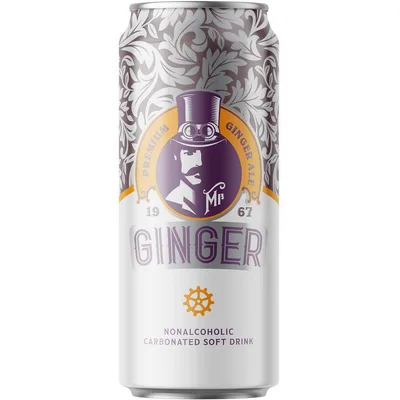 Sok Mr Ginger Can Terra 250 ml