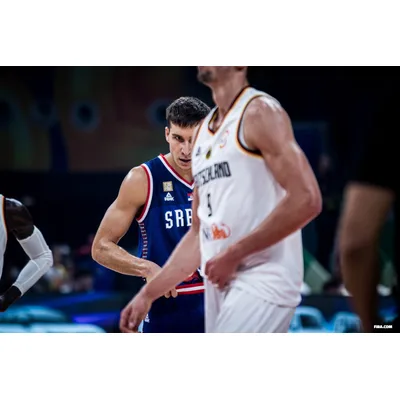 Prsa Pileca Bogdanovic