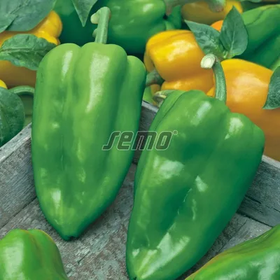 Sveze Povrce Paprika Silja 500 g