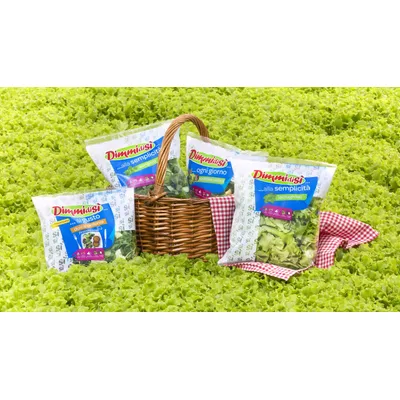 Salata Dimmidisi Moutxer Allegra La Linea Verde 150 g