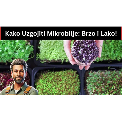 Mikrobilje Zeleni Mix