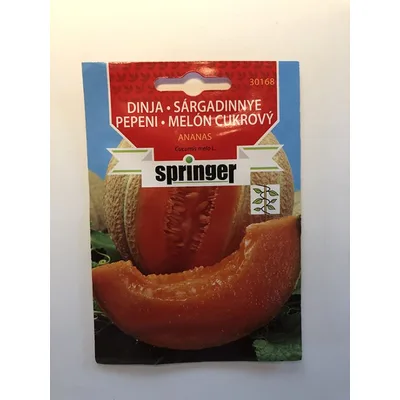 Dinja Secena 300 g