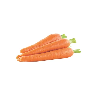 Sargarepa 2 kg