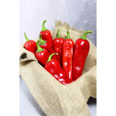 Paprika Crvena Перец Болгарский Красный 5 Кг 5 kg