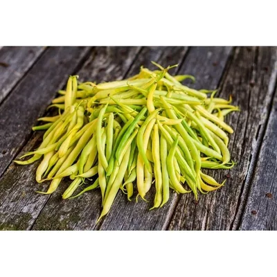 Zuta Boranija Innoveat 1 kg