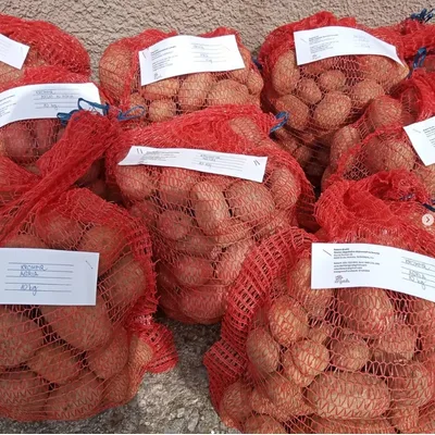 Krompir Crveni 10 kg