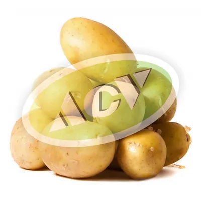 Krompir Beli 10 kg