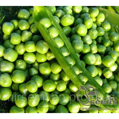 Zuti Grasak Горох 1кг 1 kg