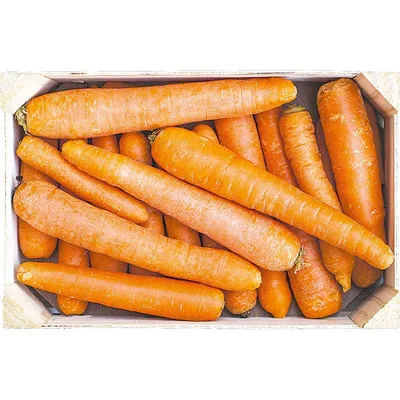 Sargarepa 1 kg