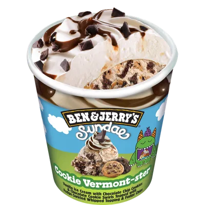 Sladoled Sundae Cookie Vermont-Ster Ben&jerry's 427 ml